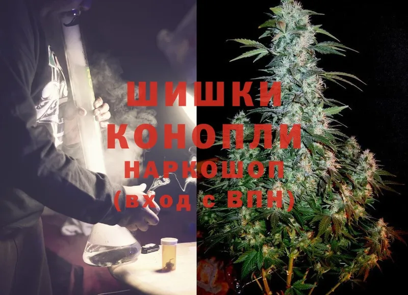 цены наркотик  Купино  darknet как зайти  Канабис White Widow 